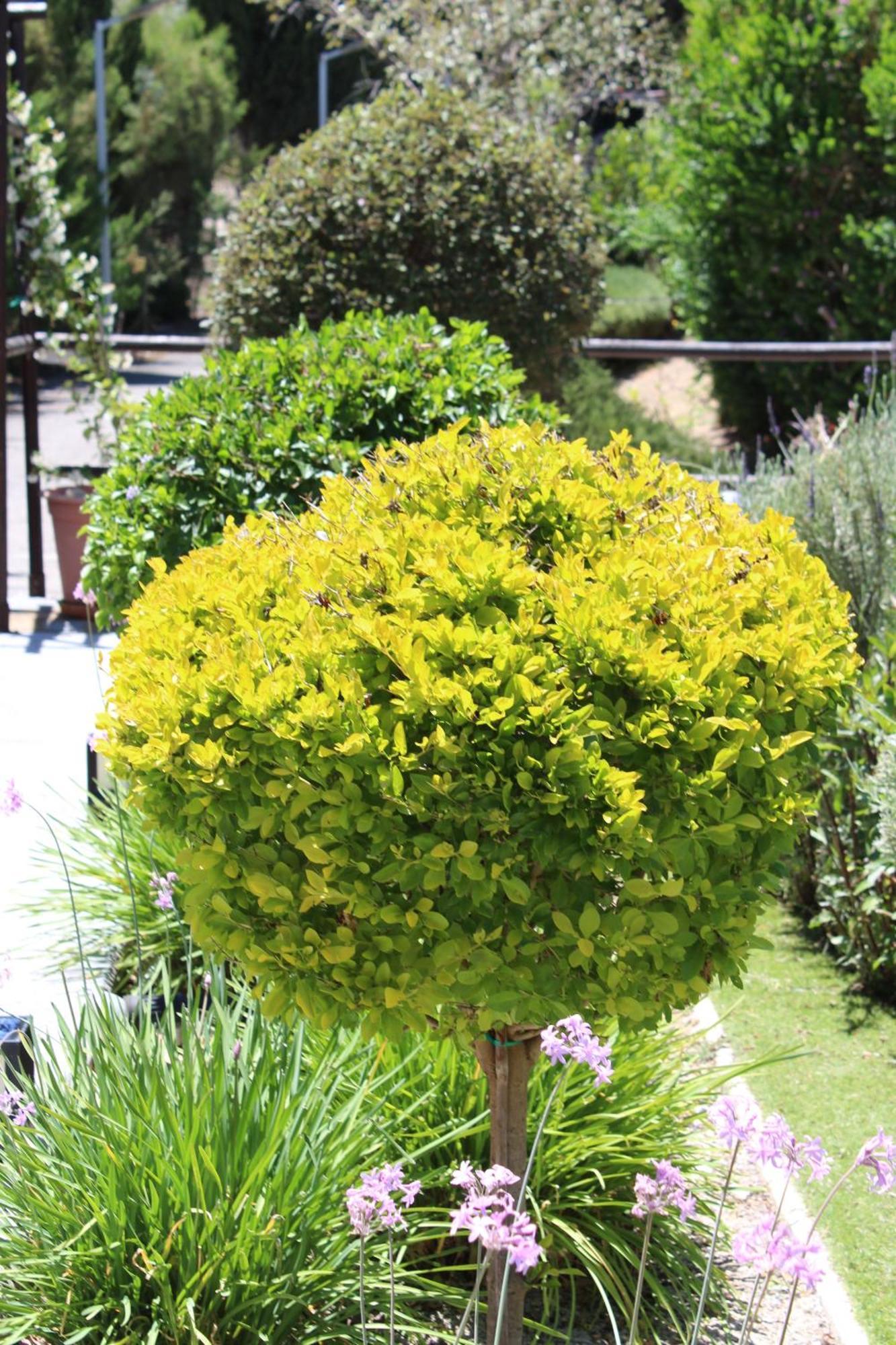 Holiday home St.george's Country Retreat Limassol