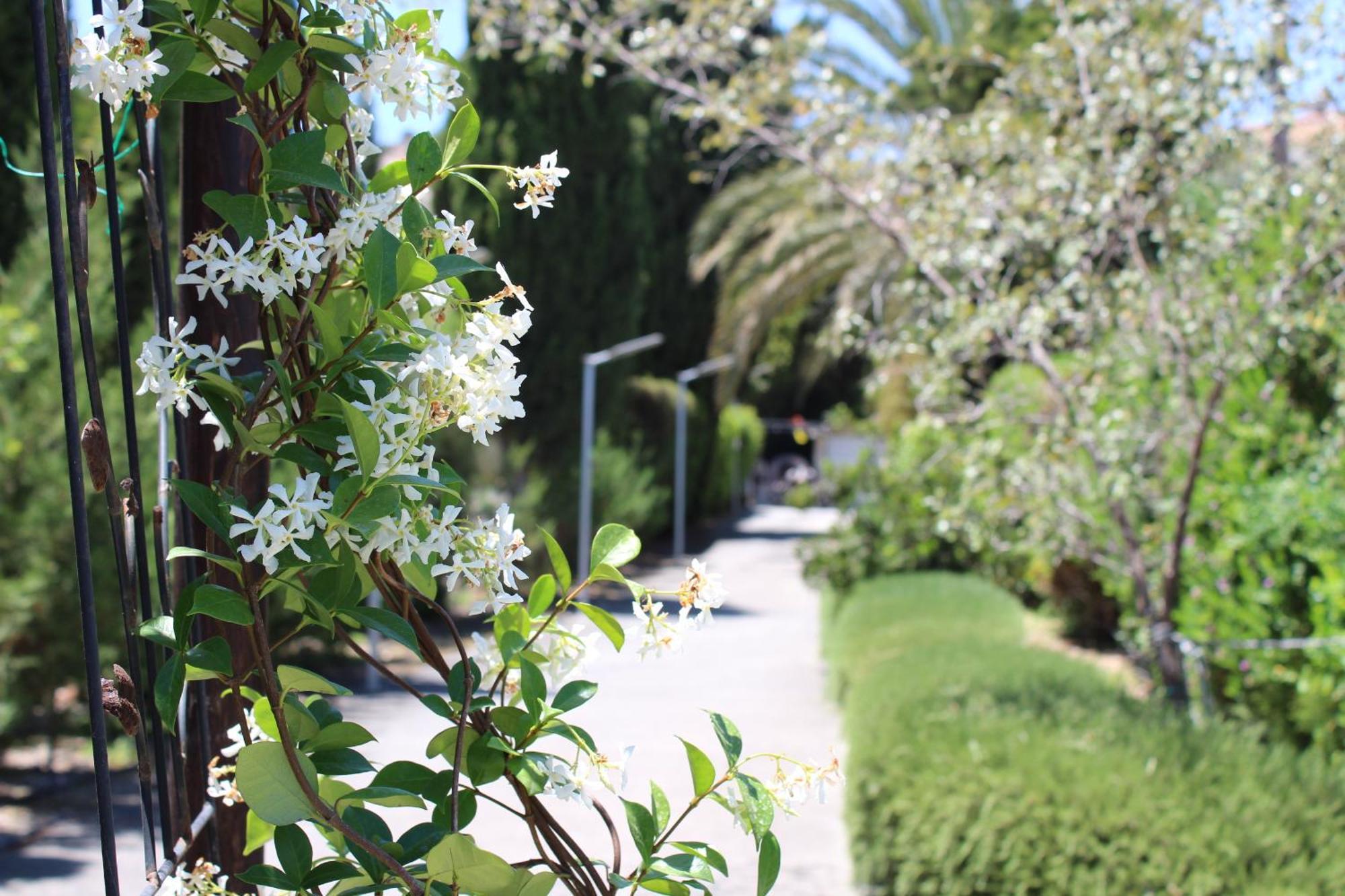 St.george's Country Retreat Holiday home Limassol